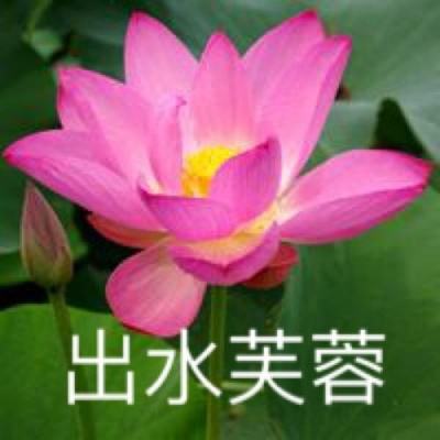 网上谈兵官方(暂未上线)v1.2 安卓版